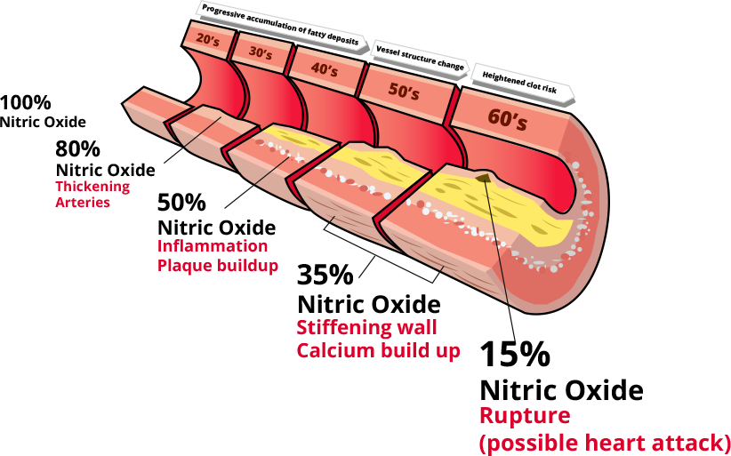 nitric oxide info graph 2