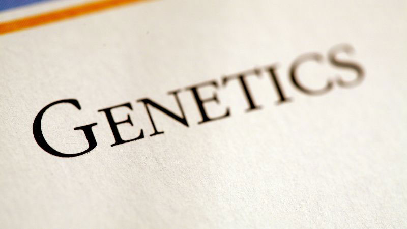 Virility genetics